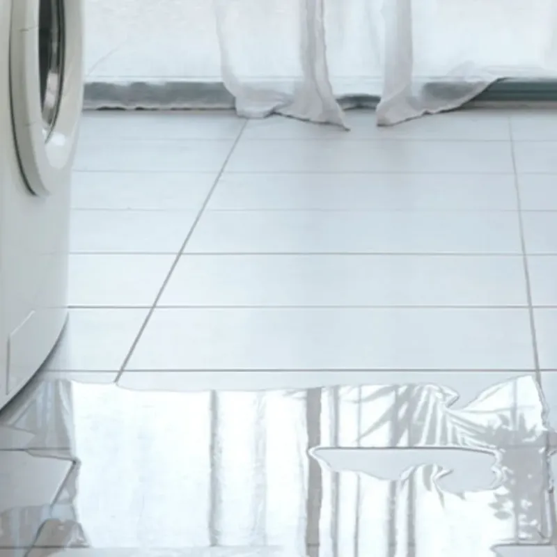 Appliance Leak Cleanup in Fivepointville, PA