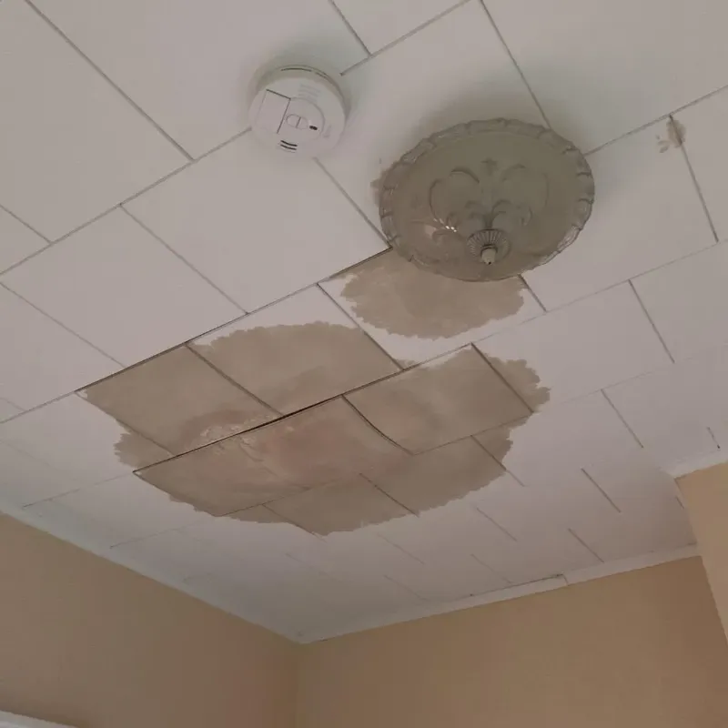 Ceiling Water Damage Repair in Fivepointville, PA