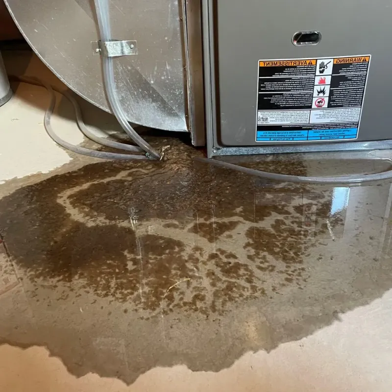 Pipe Burst and Leak Restoration in Fivepointville, PA