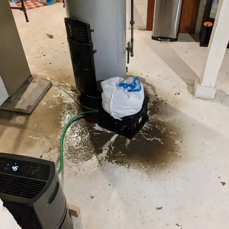 Sewage Backup Cleanup Service in Fivepointville, PA